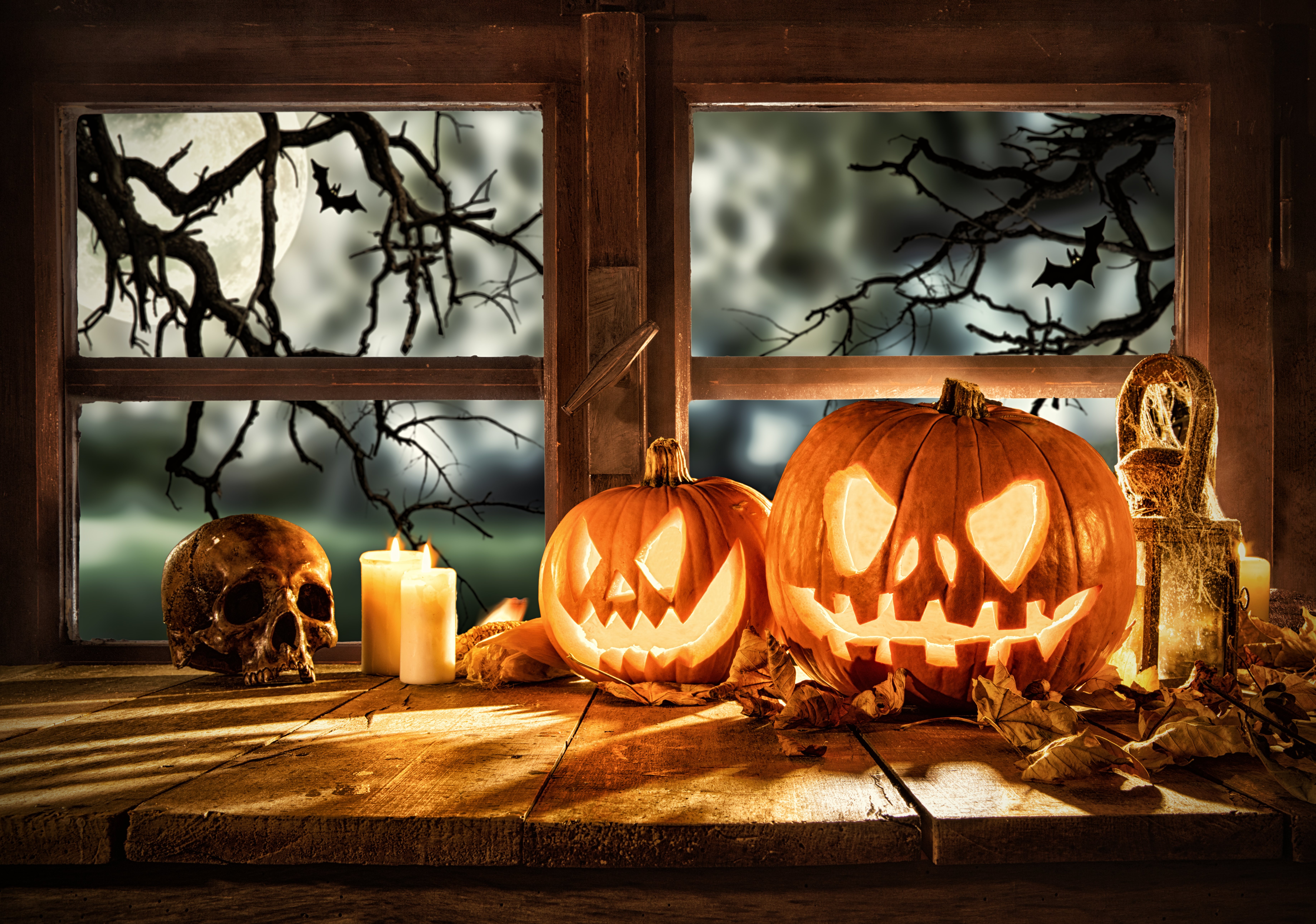 Halloween Has Come & Gone, But the Spooky Fun is Still Going On Here in Grand Rapids!